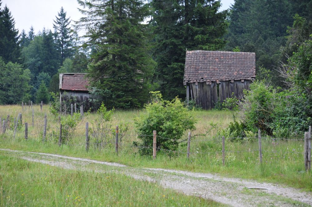 alte Hütten im Moor