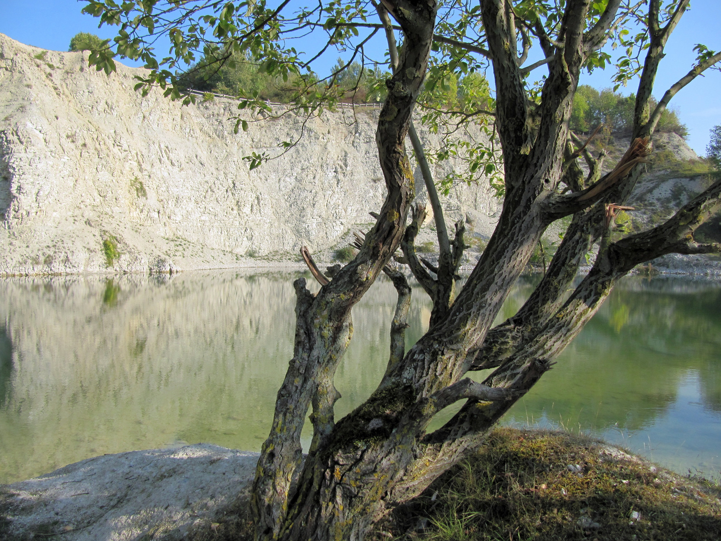 alte Kalkgrube am Waldhügel