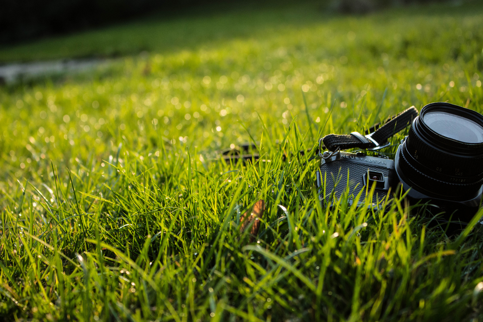 Alte Kamera im Gras