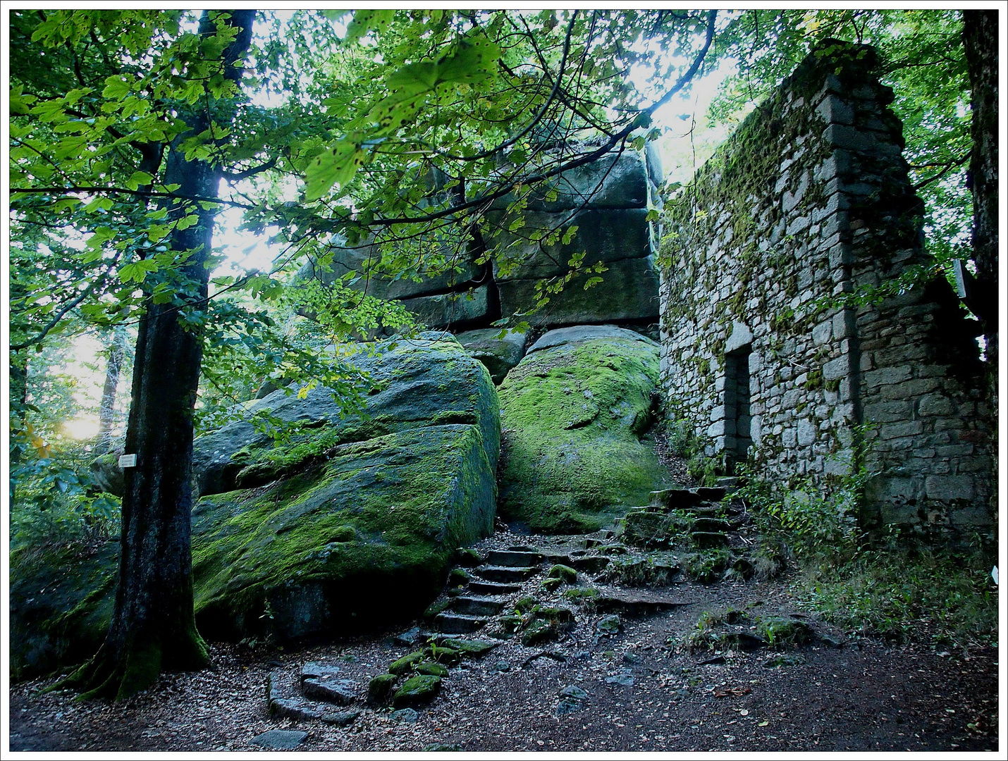 Alte Kapellenruine am Waldstein