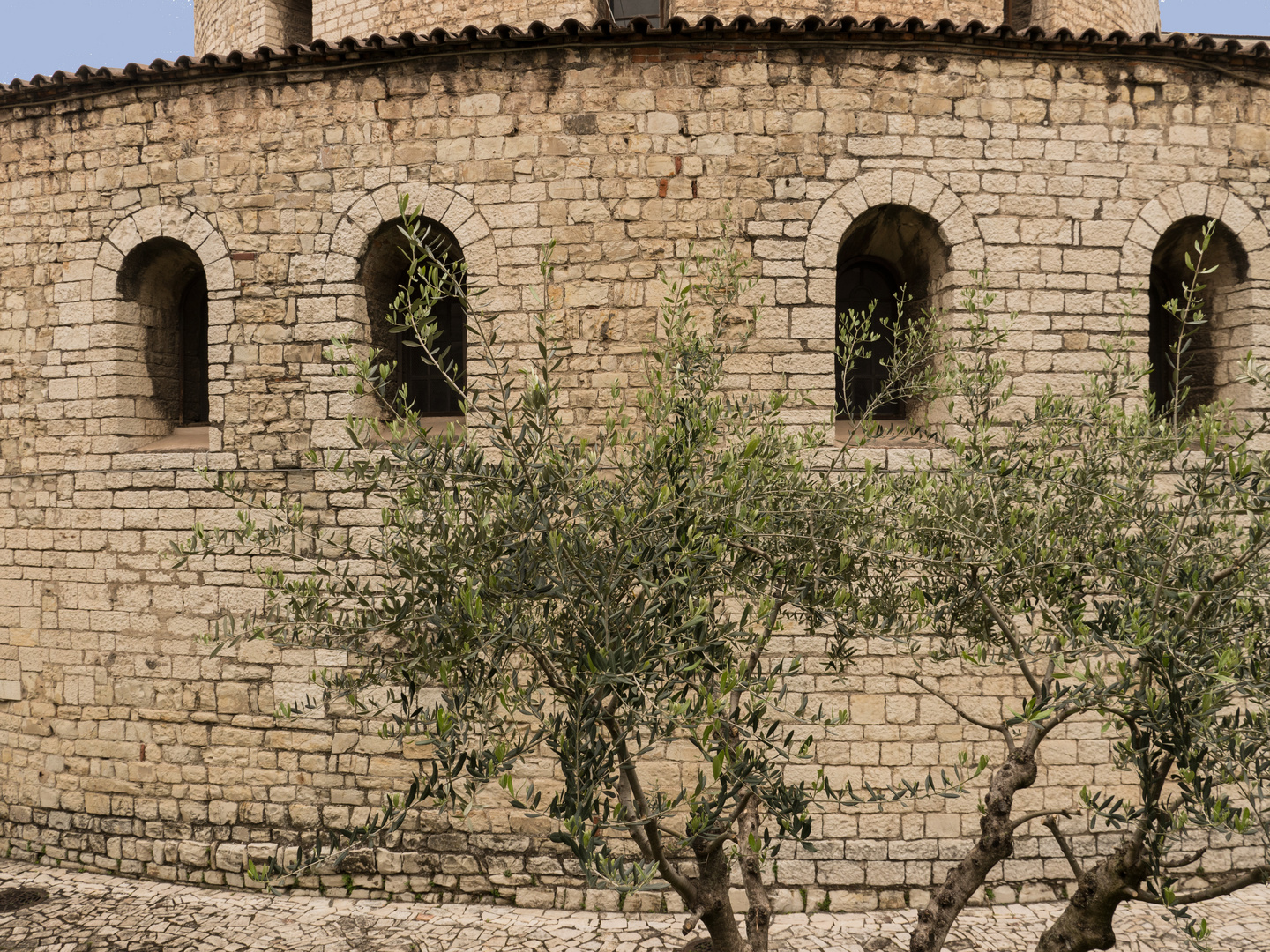 alte Kathedrale in Brescia mit Olivenbäumen 