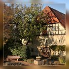 Alte Kelter 