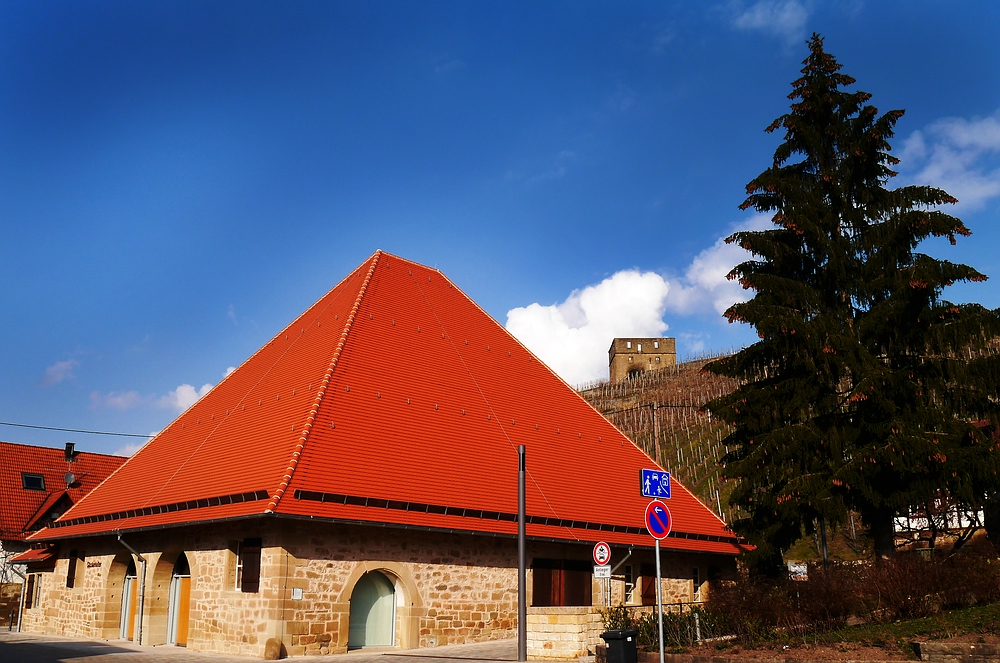 Alte Kelter und Ruine Y-Burg