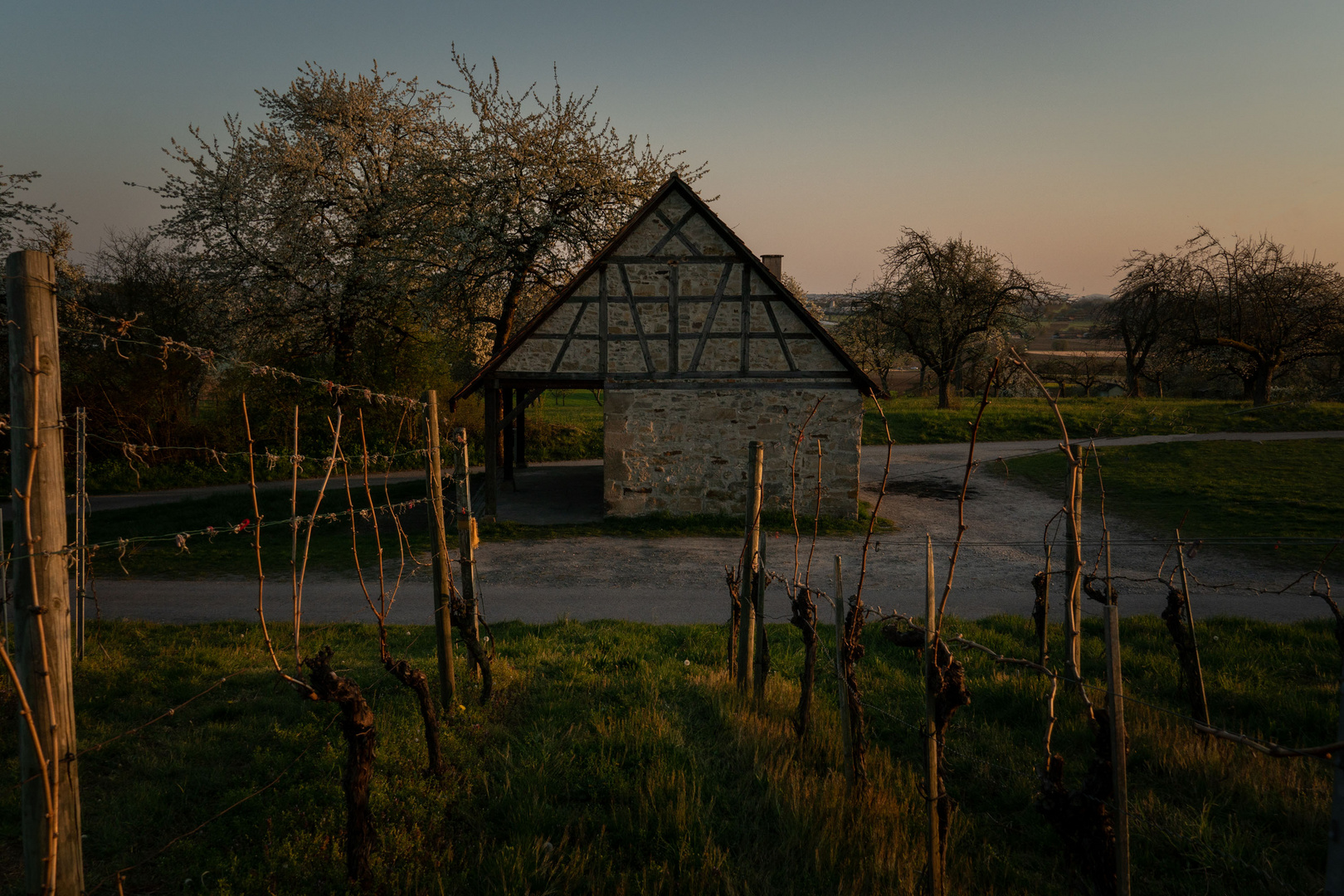 Alte Kelter zwischen Weinbergen und Streuobstwiesen