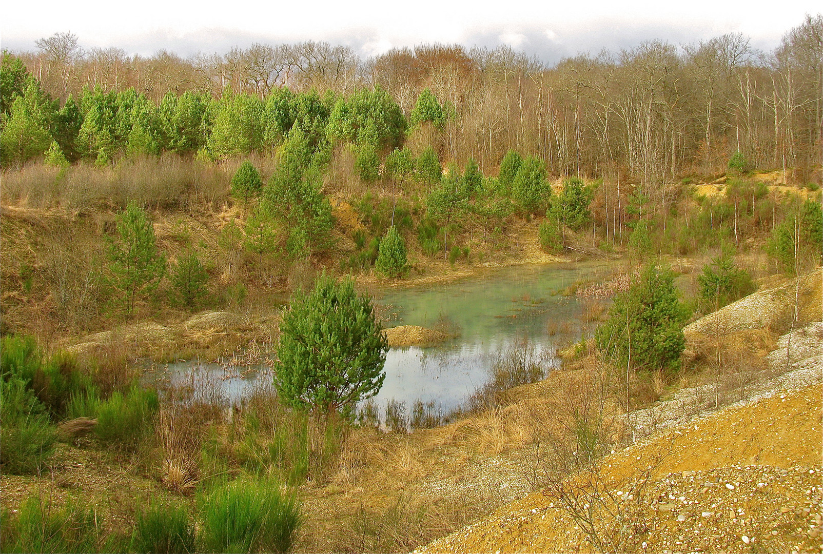 ...ALTE KIESGRUBE 2!!!... Foto & Bild landschaft, bach, fluss & see