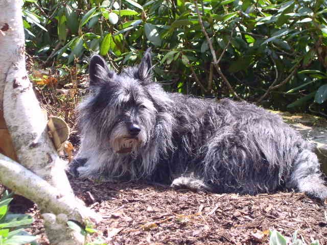 Alte Knochen brauchen Wärme.(Jack 16 Jahre)