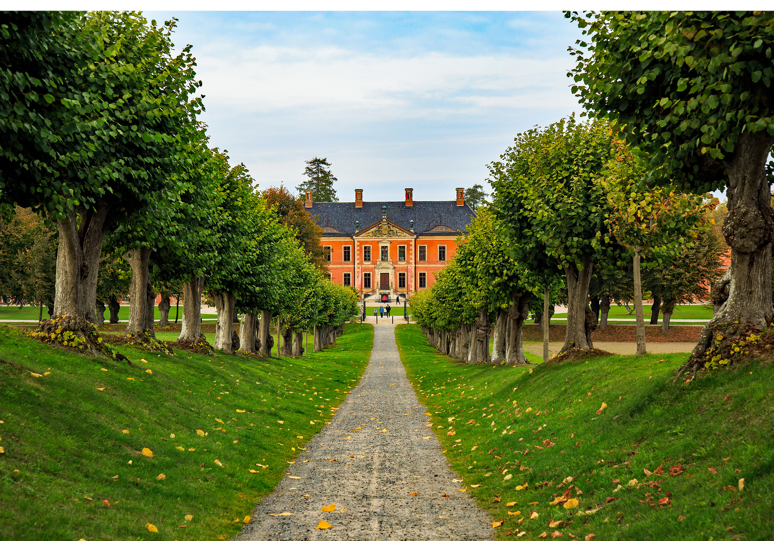 alte Kopflindenallee 