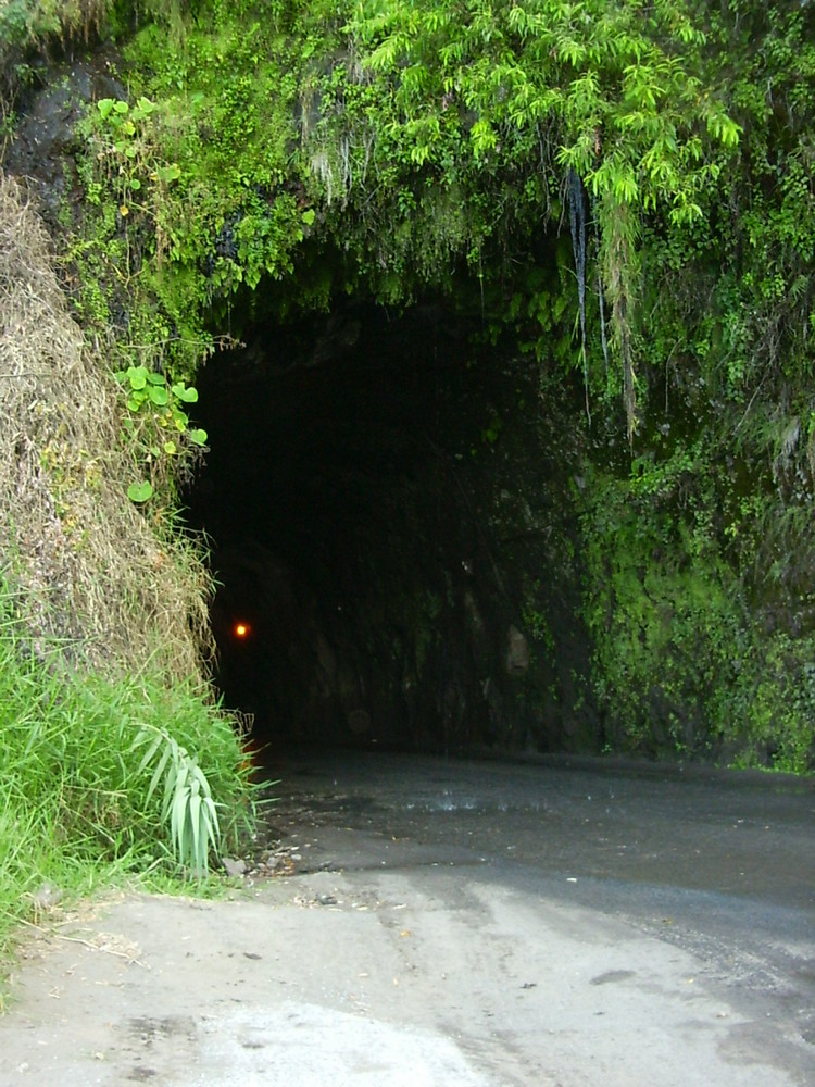 Alte Küstenstraße auf Madeira