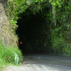 Alte Küstenstraße auf Madeira