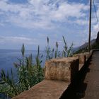 alte Küstenstrasse im Süden der Insel Madeira