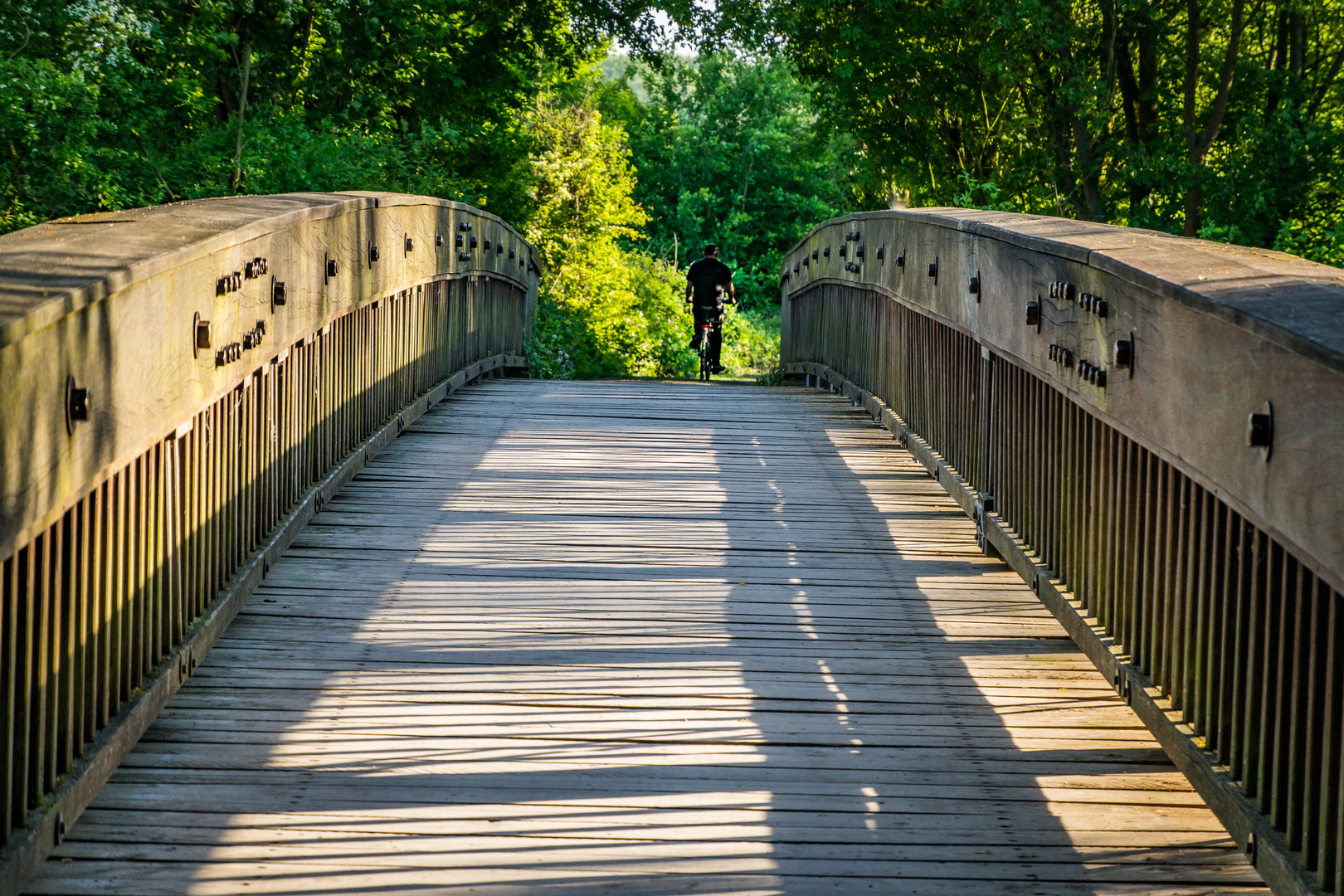 alte Leinebrücke III - Hannover