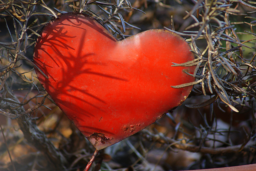 Alte Liebe rostet doch ...