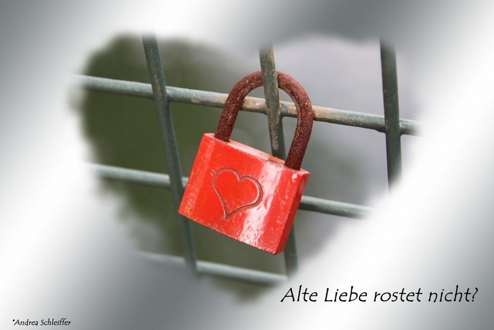 Alte Liebe rostet nicht Foto & Bild karten und kalender, spezial