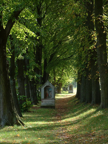 Alte Lindenallee mit Bildstock von Andreas Hornemann