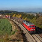 Alte Lüfter erklimmen das Vogtland