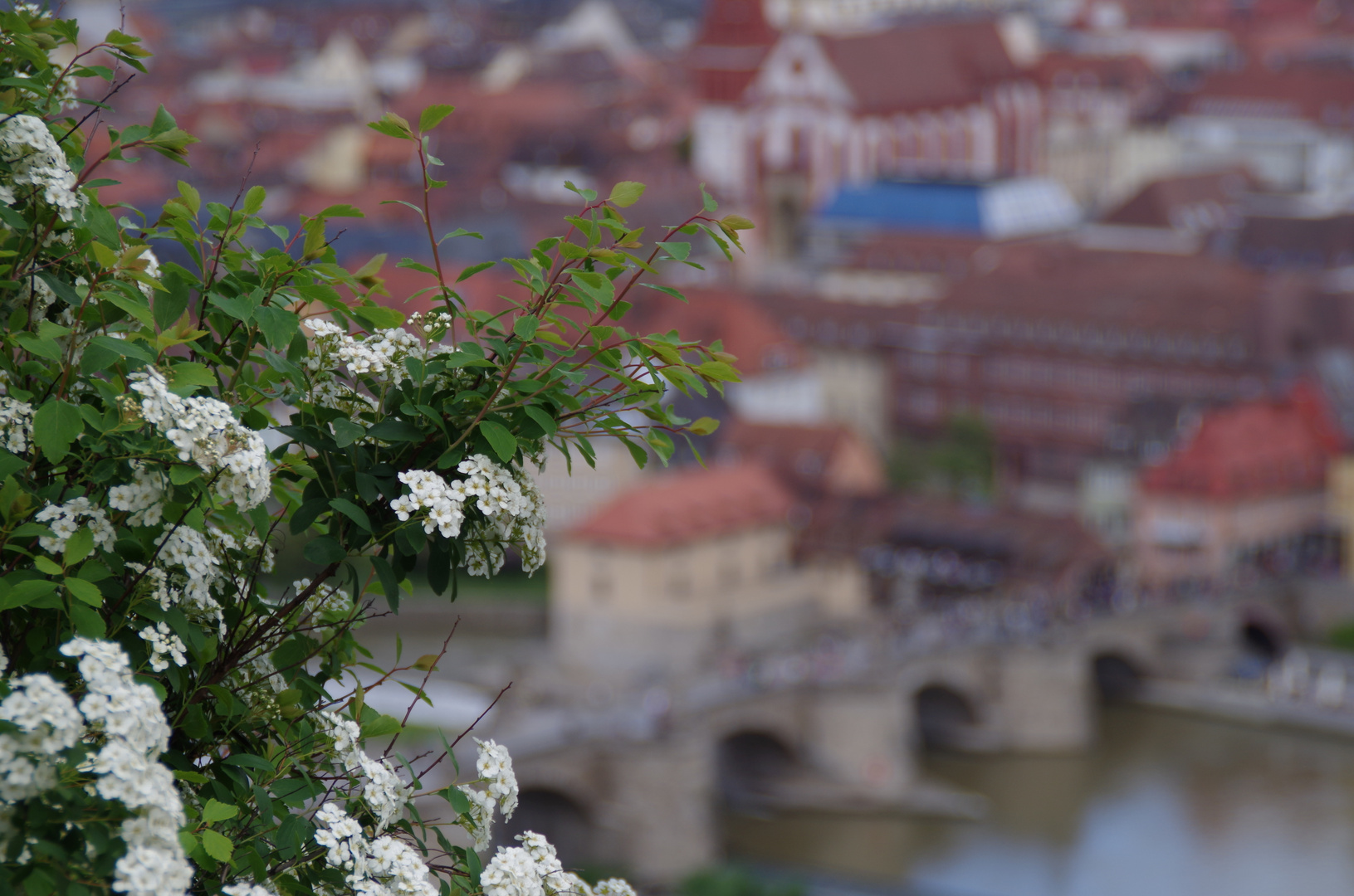 Alte Mainbrücke 2