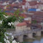 Alte Mainbrücke 2