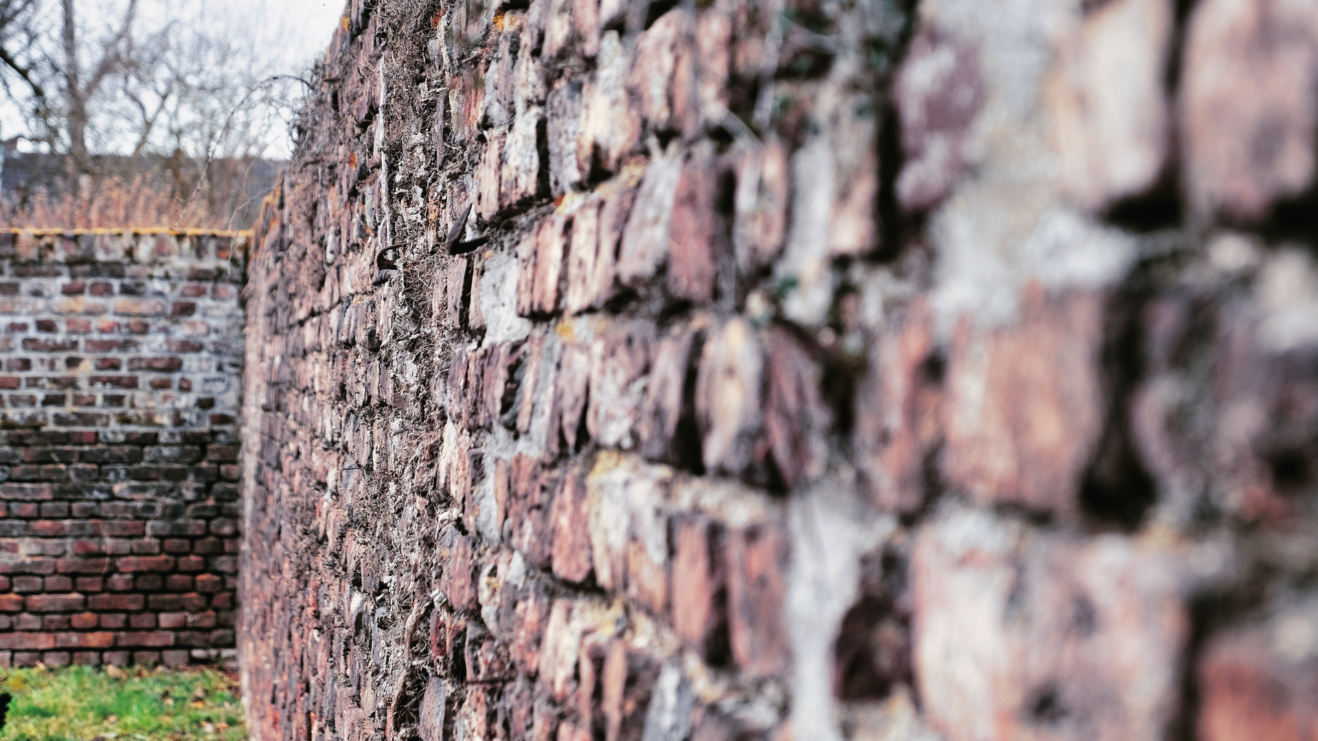 Alte Mauer Friedhofsmauer