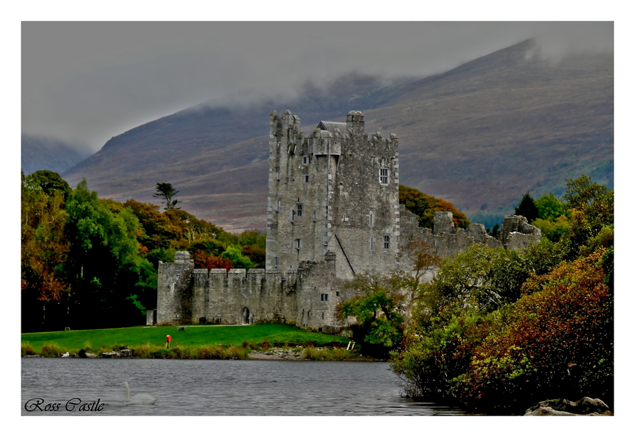 Alte Mauern.... (Ross Castle am Lough Leane , Irland ) bearbeitet