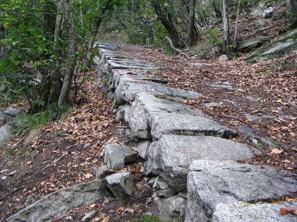 Alte Millitärstraße auf dem Mont'Orfano am Lago Maggiore von Buddylux 