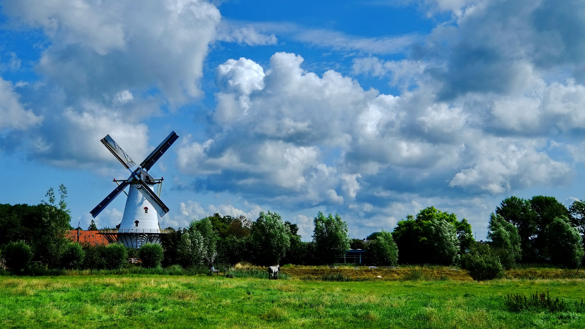 Alte Mühle