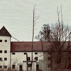 Alte Mühle 