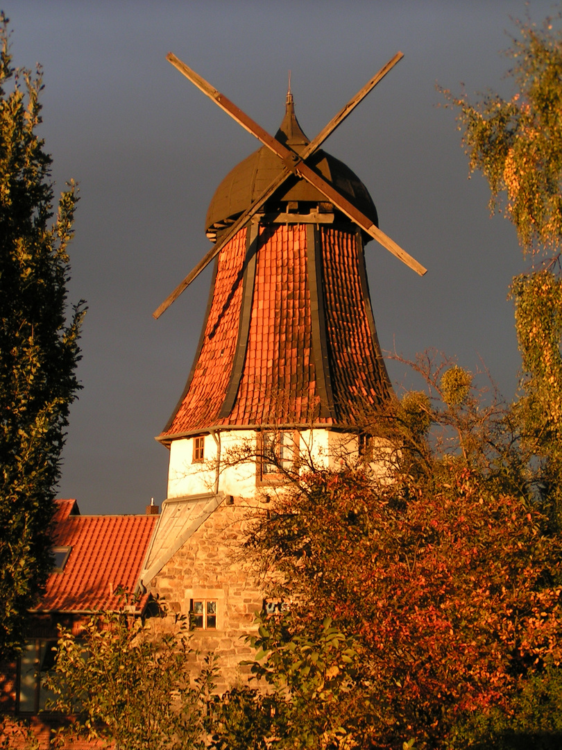 alte Mühle