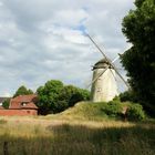 Alte Mühle in Immerath -1-