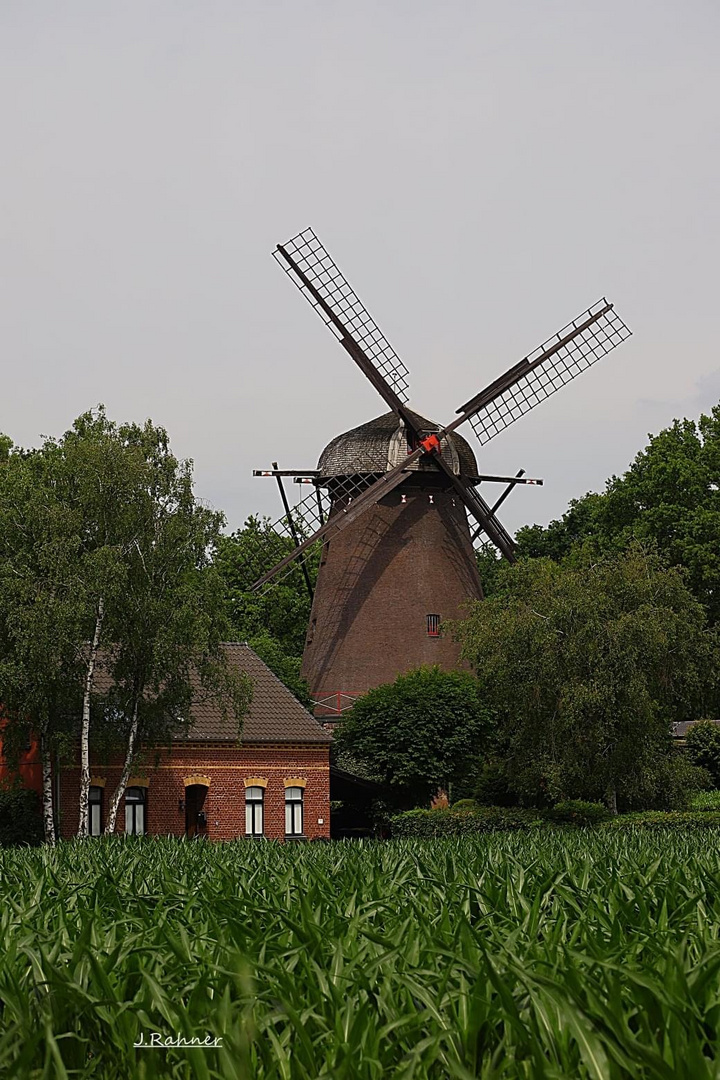 Alte Mühle in Krefeld 