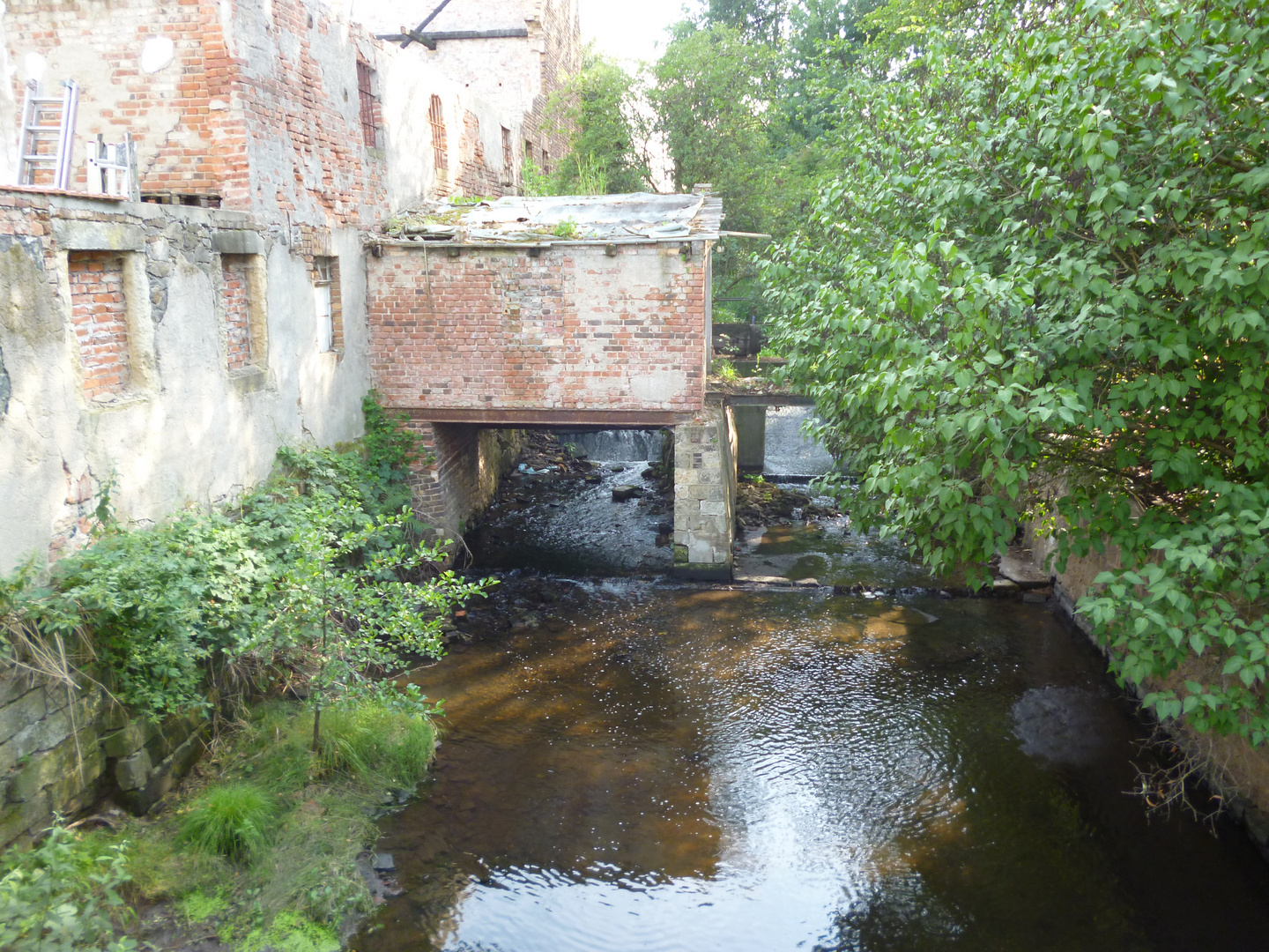 Alte Mühle in Saathain/Elbe-Elster (Brandenburg) im Sommer