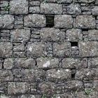 Alte Natursteinmauer im Eukalyptuswald von Madeira