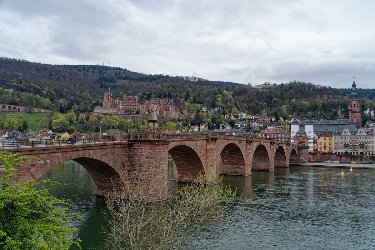 Alte Neckarbrücke mit Schloss