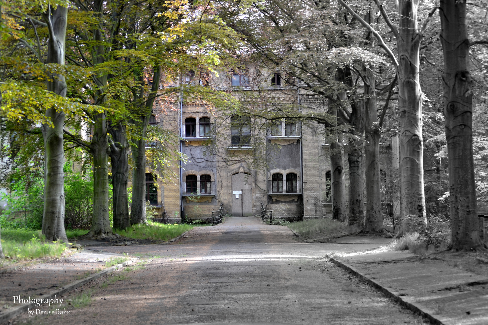 alte Nervenklinik