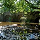 Alte Nister-Brücke bei Abtei Marienstatt / Westerwald