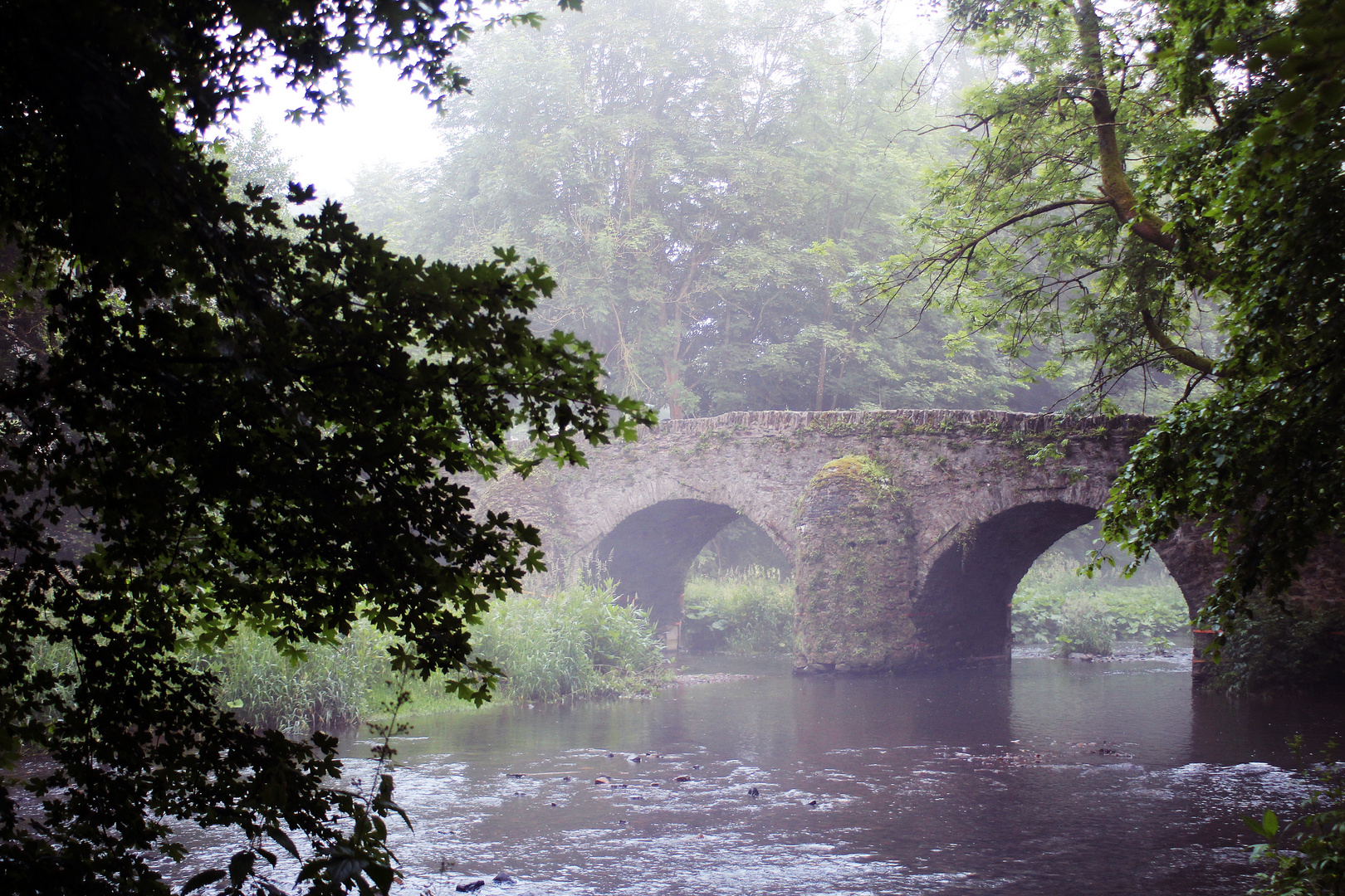 Alte Nisterbrücke