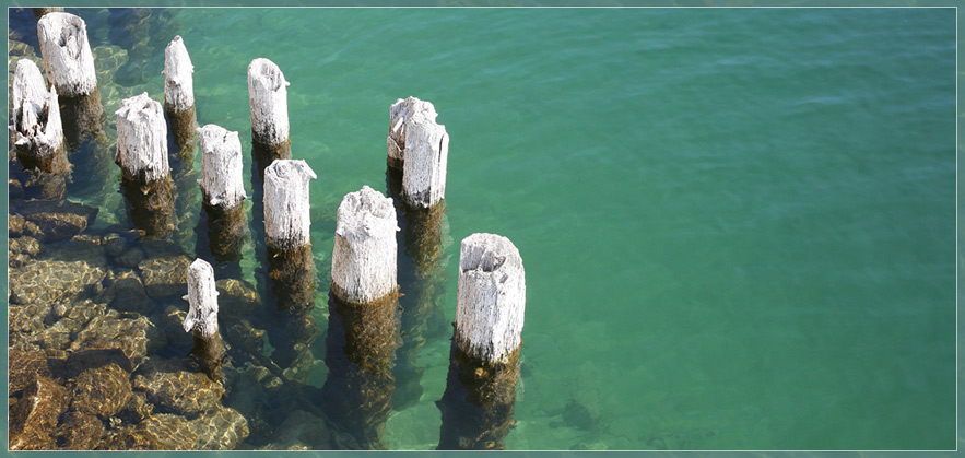 Alte Palissaden bei Niedrigwasser