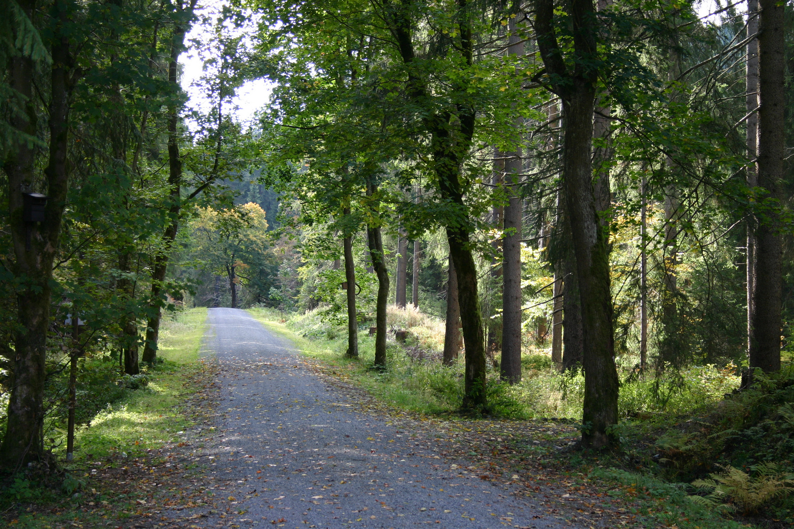 Alte Poststraße nach Jeleni