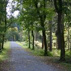 Alte Poststraße nach Jeleni