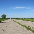 Alte Reichsautobahn in Ostpreußen (Oblast Kaliningrad)