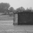 Alte Rheinbrücke bei Wesel