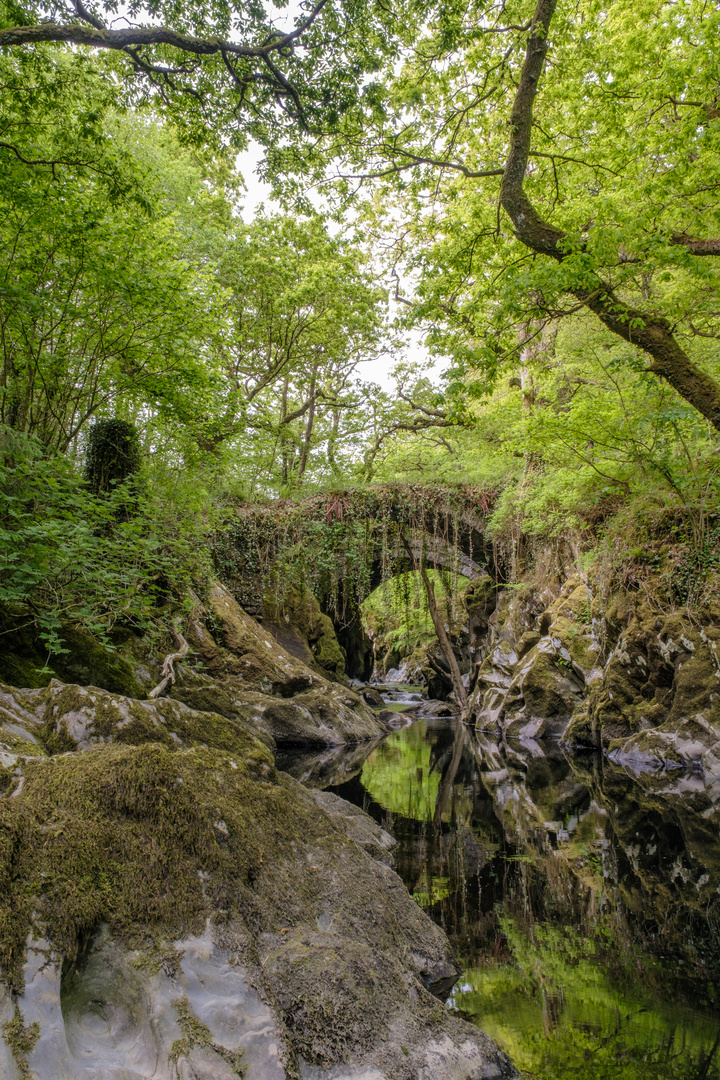 Alte römische Brücke 