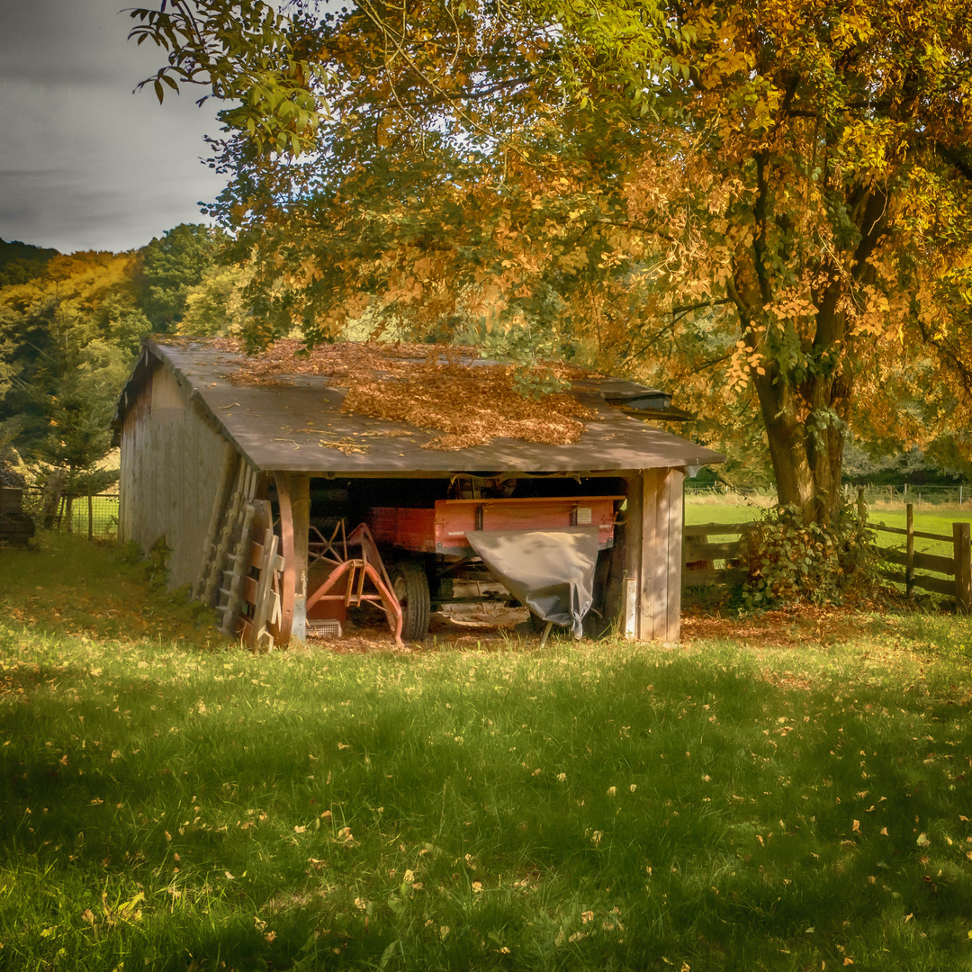 Alte Scheune im Herbst