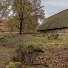 Alte Scheune in der Heide