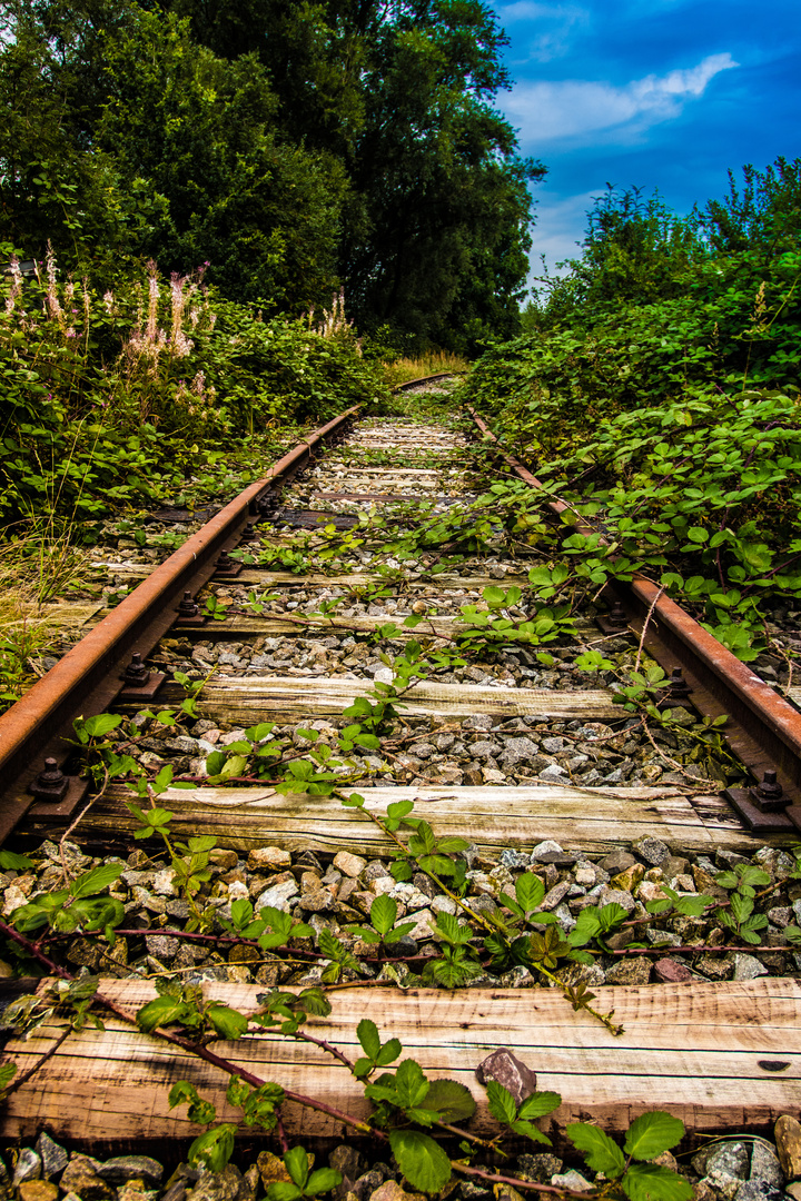 alte Schienen Foto & Bild gleise, eisenbahn, verkehr & fahrzeuge