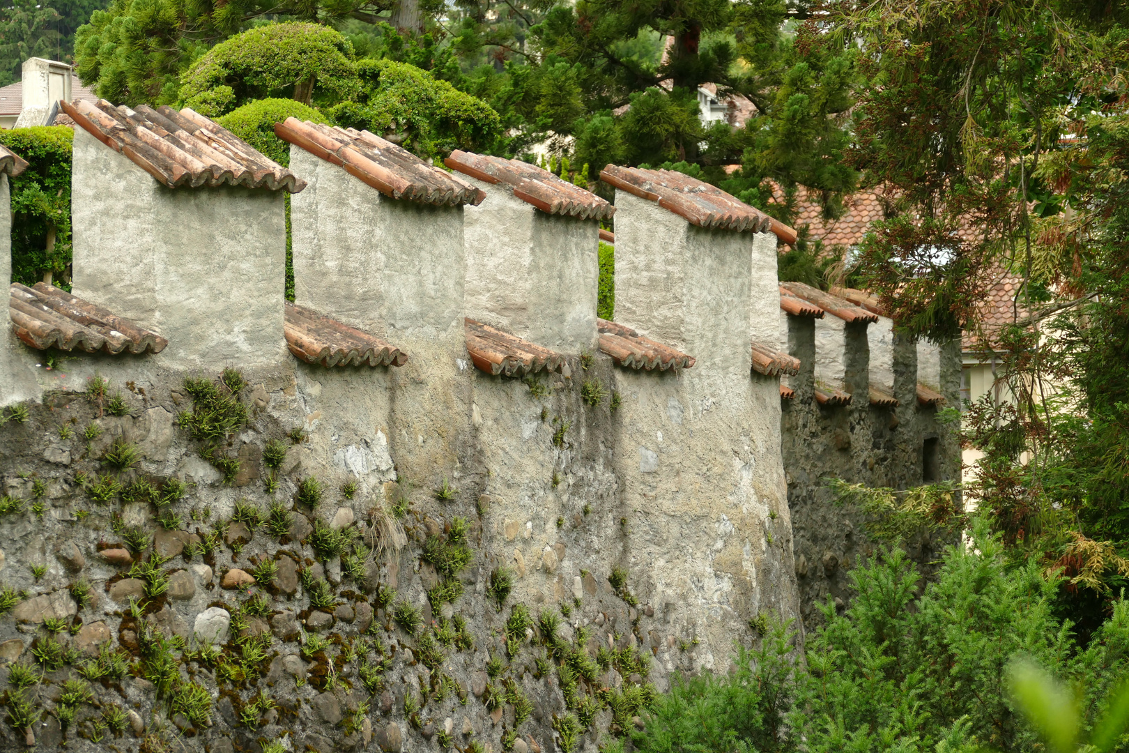 °°°°Alte Schlossmauer °°°°