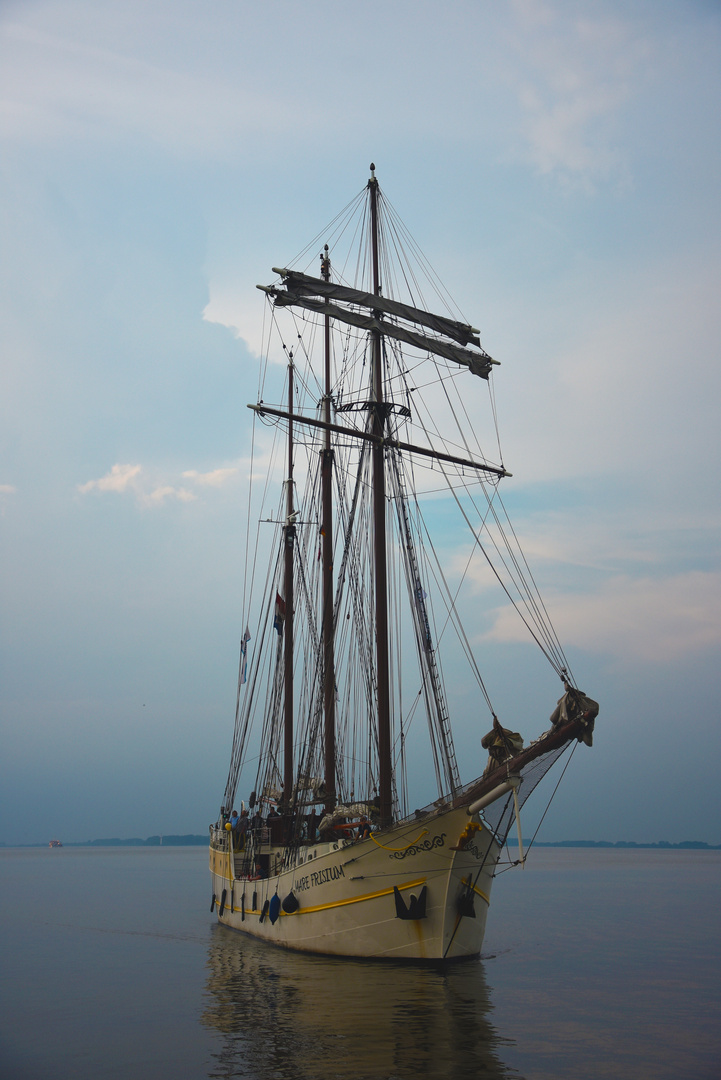 Alte Schönheit auf der Elbe