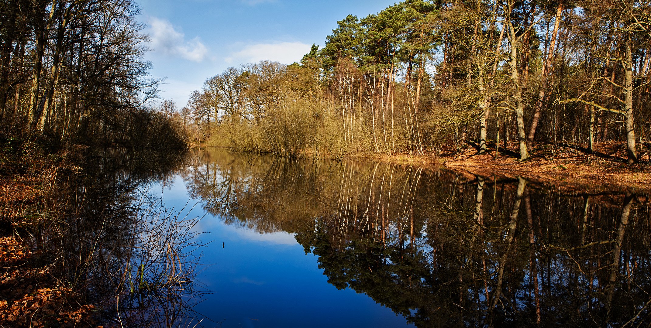 Alte Schule Teich Spiegelbild 003 