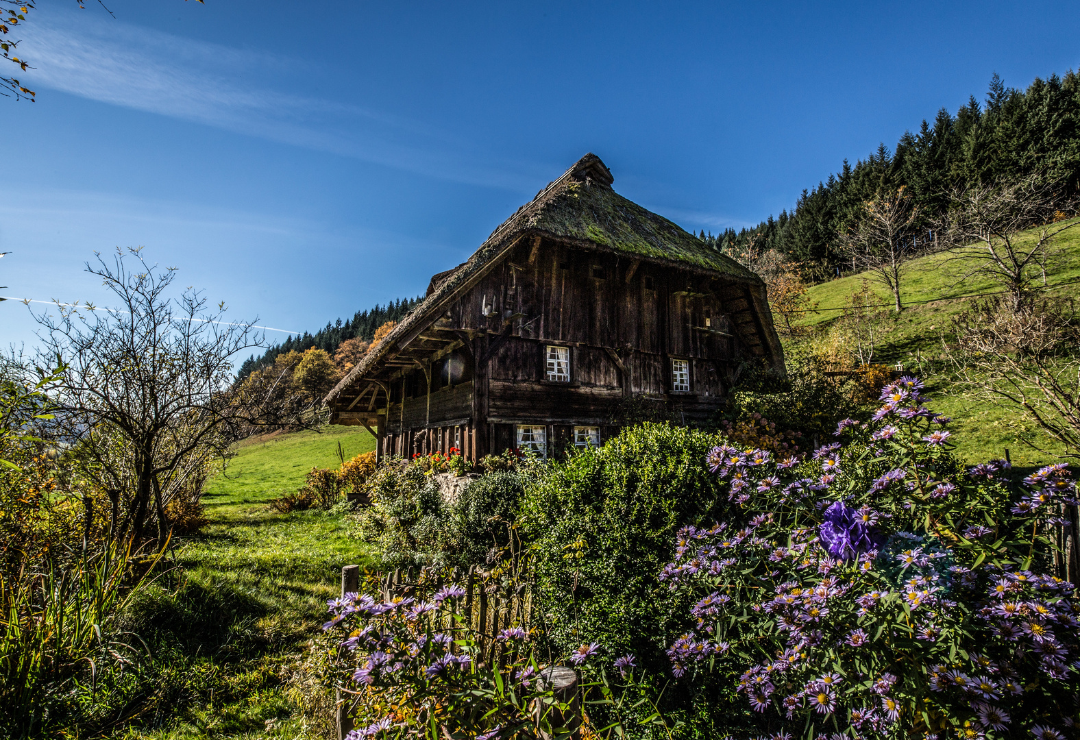 alte Schwarzwaldmühle im Herbst II