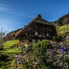 alte Schwarzwaldmühle im Herbst II