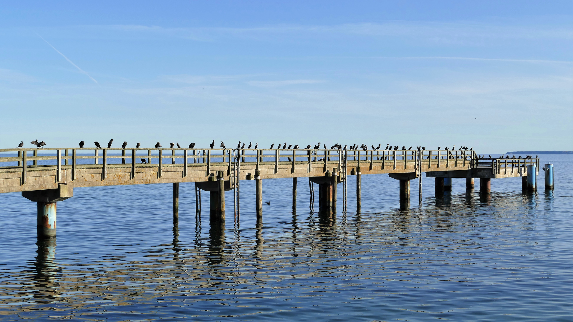 (alte) Seebrücke in Sassnitz